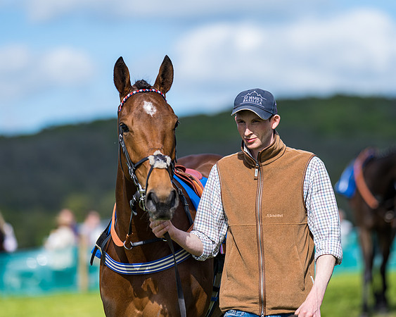 Race 5 - 2m5f Maiden (34 of 144)