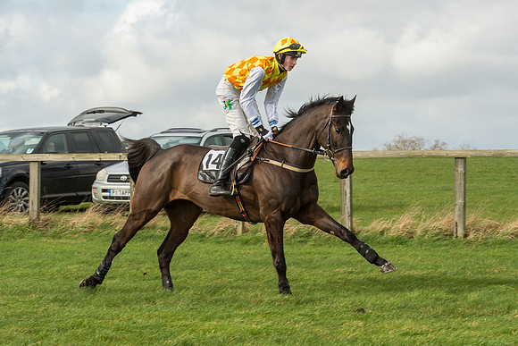 Race 2 - Young Horse Maiden (35 of 110).jpg