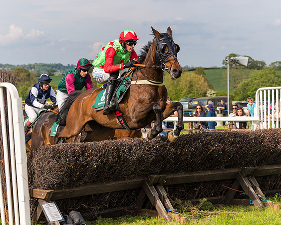 Race 5 - Restricted  (98 of 164)