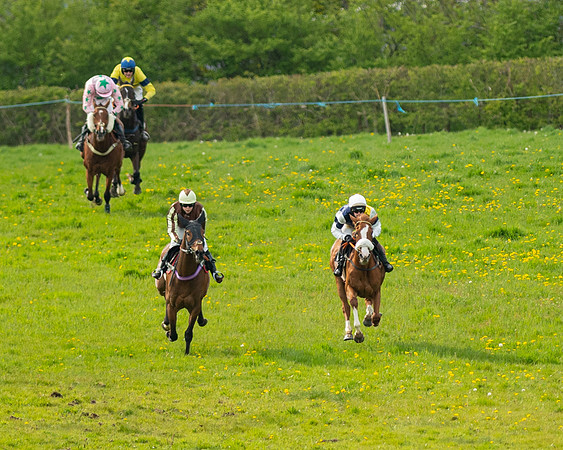 Race 5 - Open Maiden  (31 of 89)