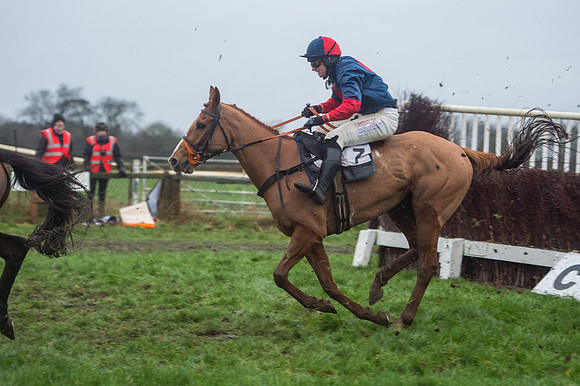Race 8 - Young Horse Maiden  (75 of 85).jpg