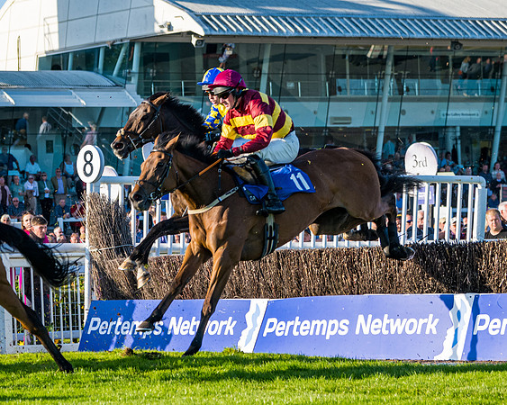Race 4 - Foxhunters Championship (70 of 175)