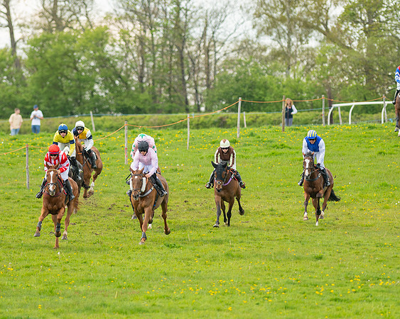 Race 5 - Open Maiden  (14 of 89)