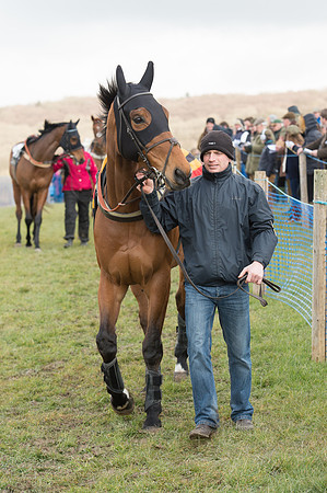 Race 1 - Div 2 - Young Horse Maiden (15 of 122).jpg