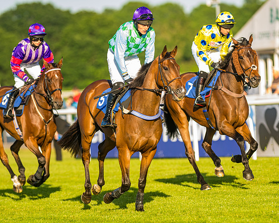 Race 4 - Foxhunters Championship (44 of 175)