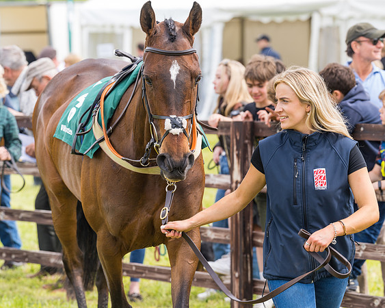 Race 2 - Owner-Trainer Conditions  (11 of 208)