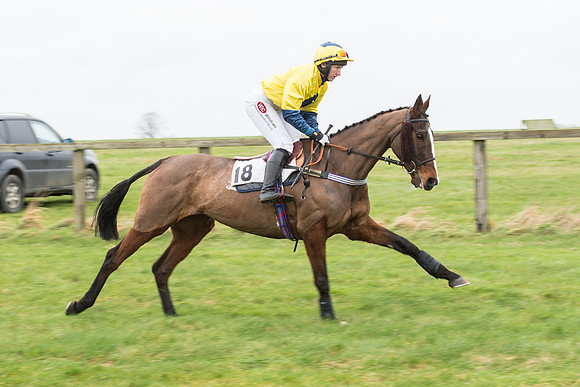 Race 7 - Open Maiden (14 of 131).jpg