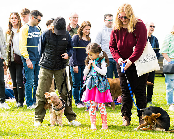 Dog show etc (48 of 157)