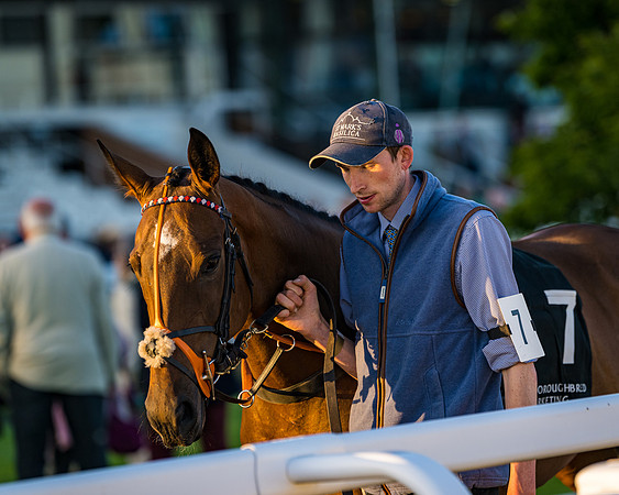 Race 7 - ITM NH Flat Race (42 of 197)