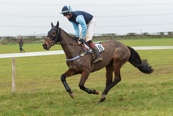 Race 6 - Open Maiden Race Div 1  (22 of 90).jpg