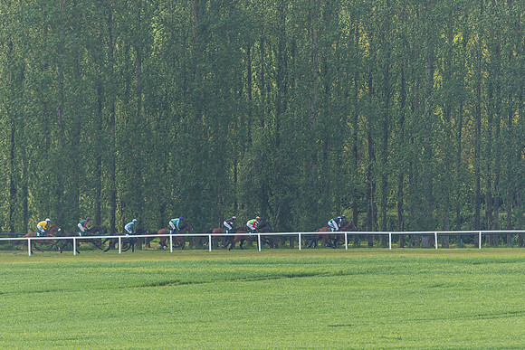 Race 5 - Restricted  (51 of 164)