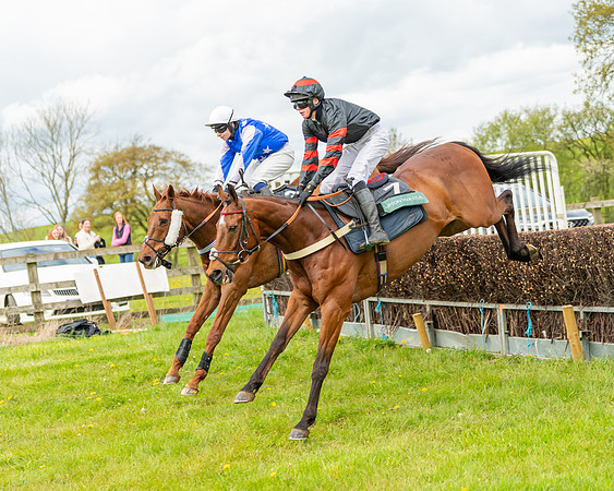 Race 2 - ROR and veteran Horse Conditions race (19 of 77)