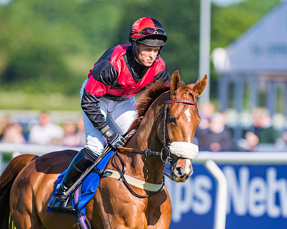 Race 1 - JFF Open Hunter Steeple Chase 2m  (11 of 202)