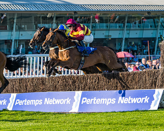 Race 4 - Foxhunters Championship (67 of 175)