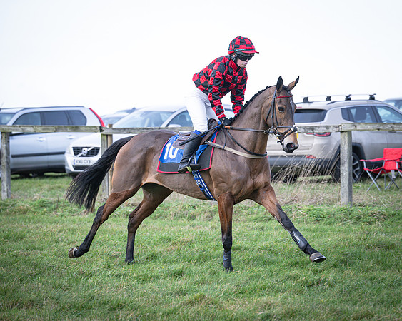 Race 2 - Maiden (45 of 145)
