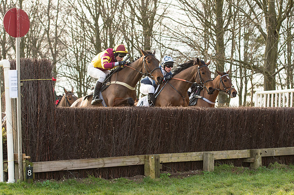 Race 5 - Restricted Race (40 of 98).jpg