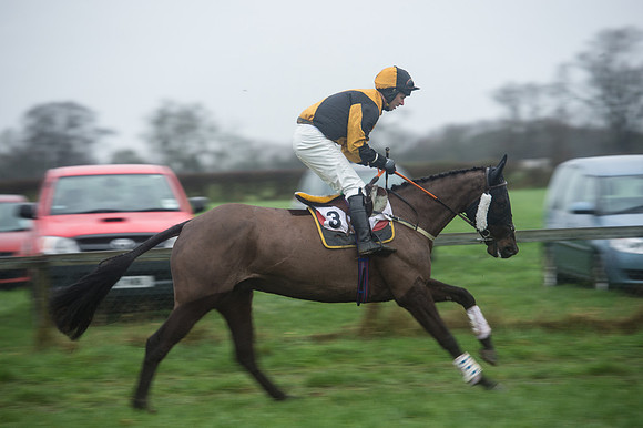 Race 7 - Open Maiden DIvision 2  (47 of 131).jpg