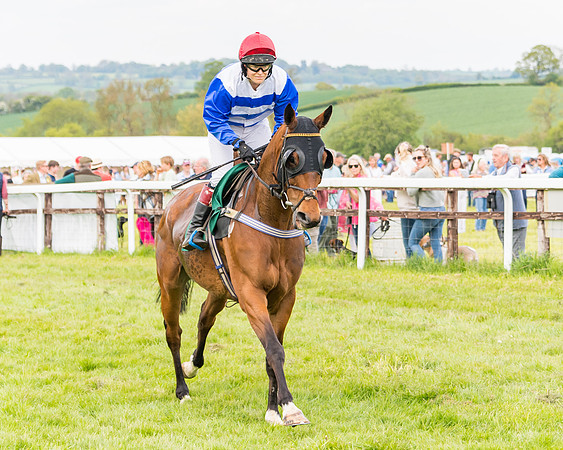 Race 6 = Maiden (55 of 187)