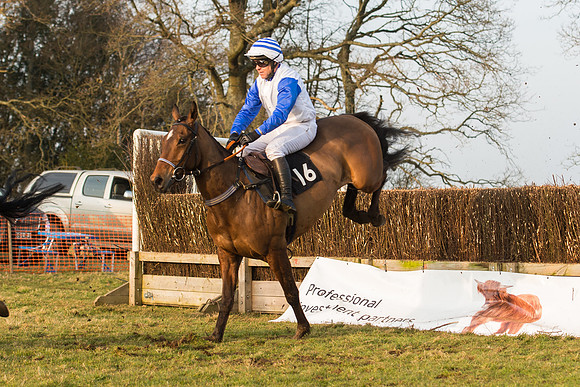 Race 6 - Open Maiden (38 of 122).jpg