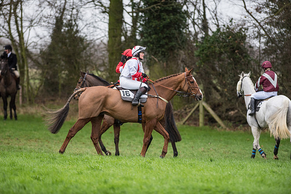 Race 5 - Ladies Open Race (22 of 119).jpg