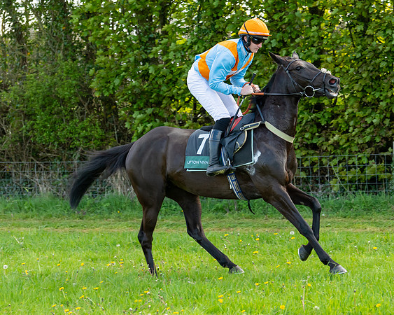 Race 7 - Maiden  (10 of 113)