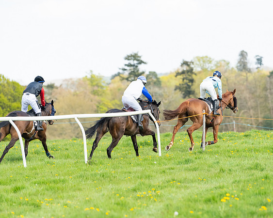 Race 2 - Veteran Horse  (80 of 82)