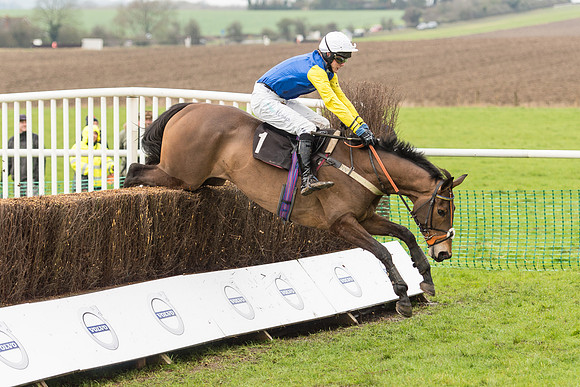 Race 1 - Young Horse Maiden (43 of 50).jpg