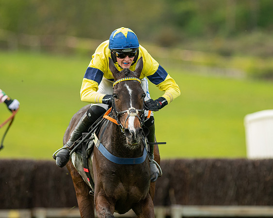 Race 5 - Open Maiden  (71 of 89)