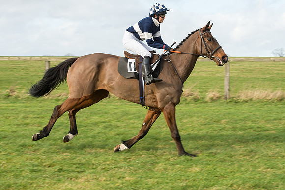 Race 3 - PPORA Members Novice Riders (32 of 84).jpg