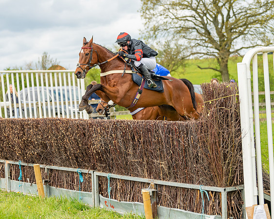 Race 2 - ROR and veteran Horse Conditions race (44 of 77)