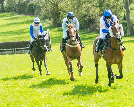 Race 2 - Veteran Horse  (35 of 82)