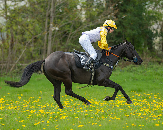 Ponies and Side saddle (53 of 69)