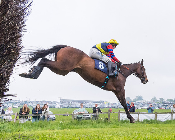 Race 4 - The Ladies Open (38 of 107)