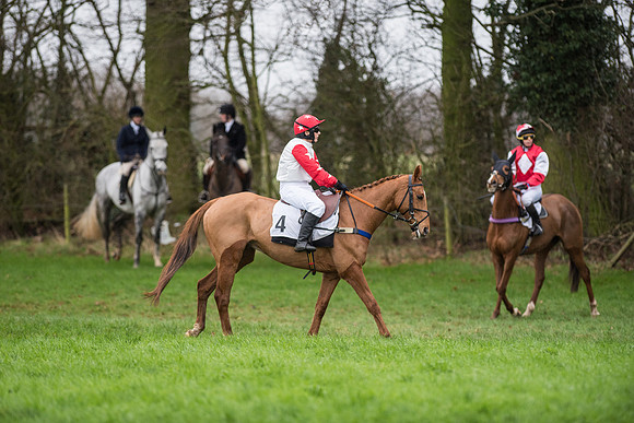 Race 5 - Ladies Open Race (25 of 119).jpg