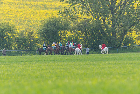 Race 5 - Restricted  (48 of 164)