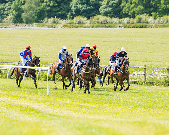 Race 2 - PPORA Novice Riders (192 of 444)