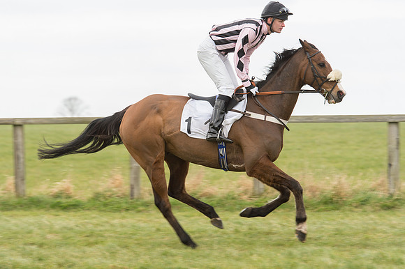 Race 2 - PPORA Novice riders  (60 of 186).jpg
