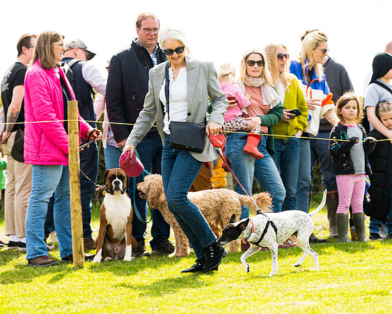 Dog show etc (89 of 157)