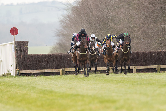 Race 2 - PPORA Novice riders  (139 of 186).jpg