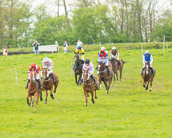 Race 5 - Open Maiden  (7 of 89)