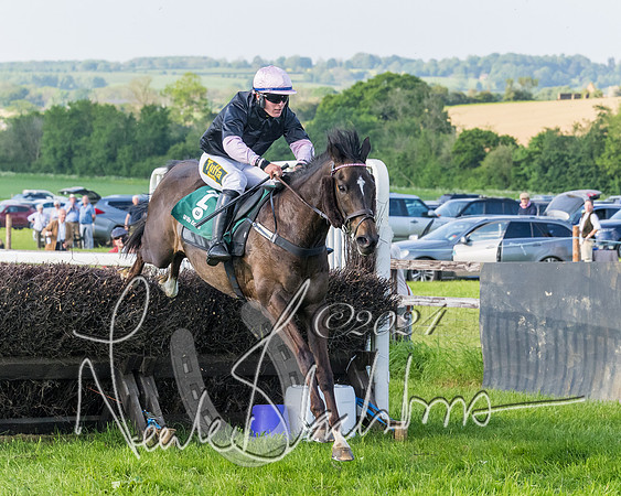 Race 7 - Veteran Horse (163 of 246)