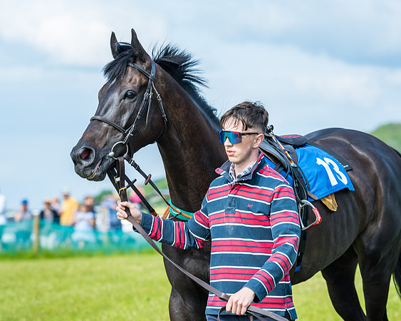Race 5 - Restricted (53 of 335)