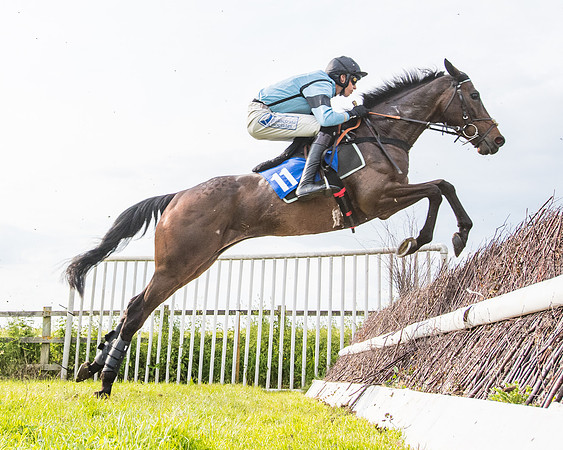 Race 6 - Open Maiden (165 of 346)