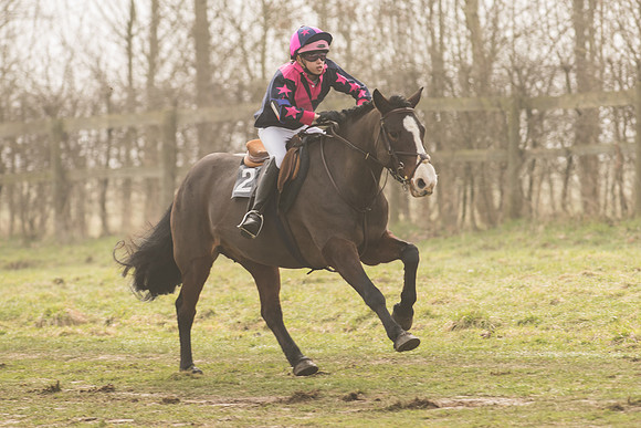 Pony Race 1 -  (21 of 31).jpg