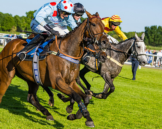 Race 3 - John Corbet Cup (95 of 127)