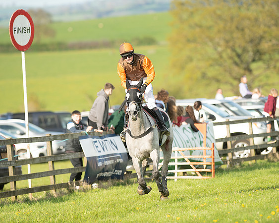 Race 7 - Maiden  (89 of 113)