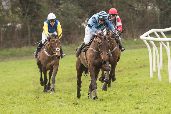 Race 1 - Young Horse Maiden (36 of 50).jpg