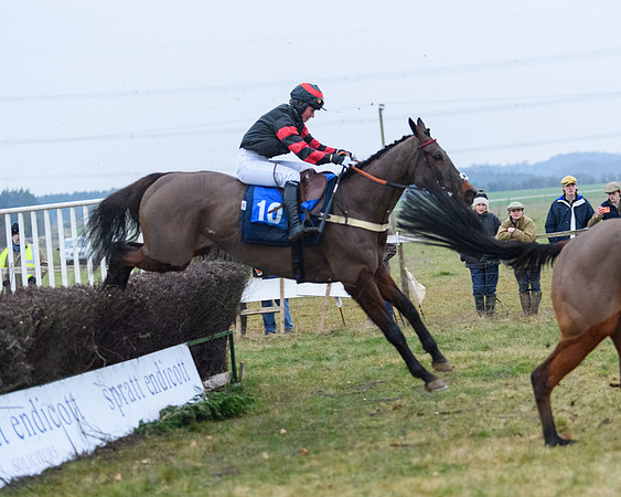 Race 8 - Oprn Maiden Div 2 (86 of 108)