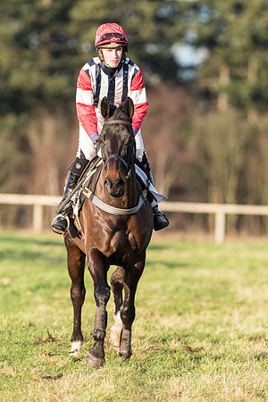 Race 6 - Novice Riders (4 of 103).jpg