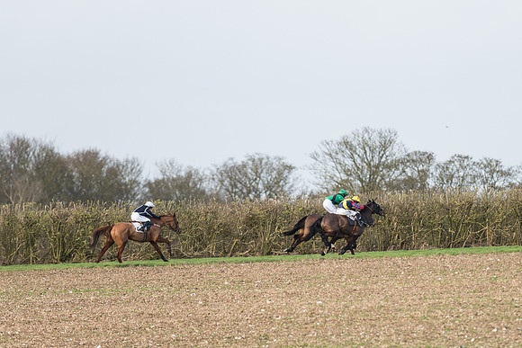 Race 5 - Ladies Open Race (55 of 66).jpg